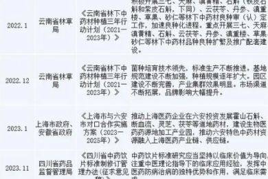 欧美十大艳星的魅力与影响